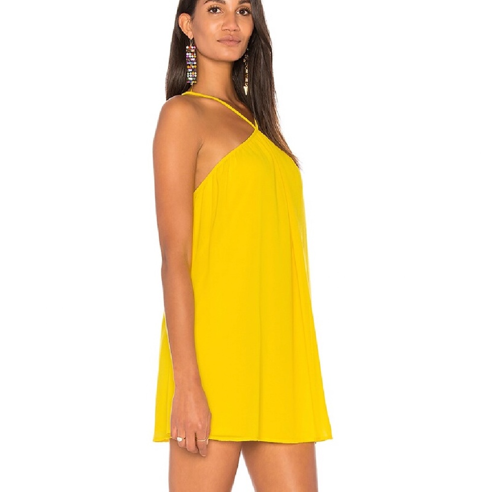 Show Me Your MuMu Lexington Mini Dress